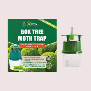 Vitax Buxus Moth Trap 1 Trap